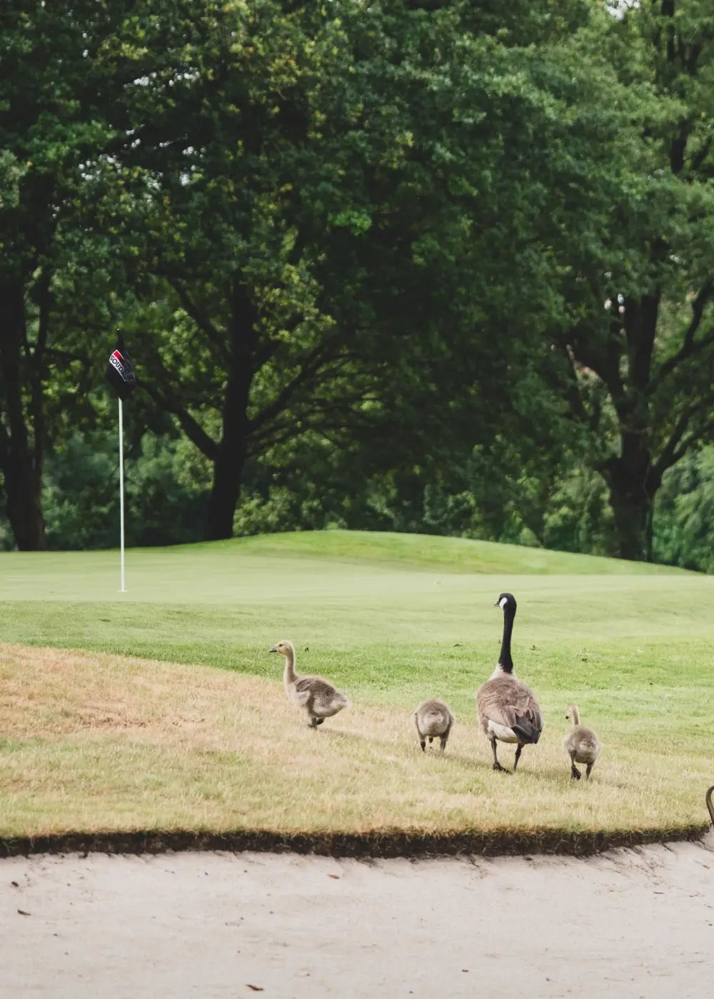 20251201 _Soudal_Open-3